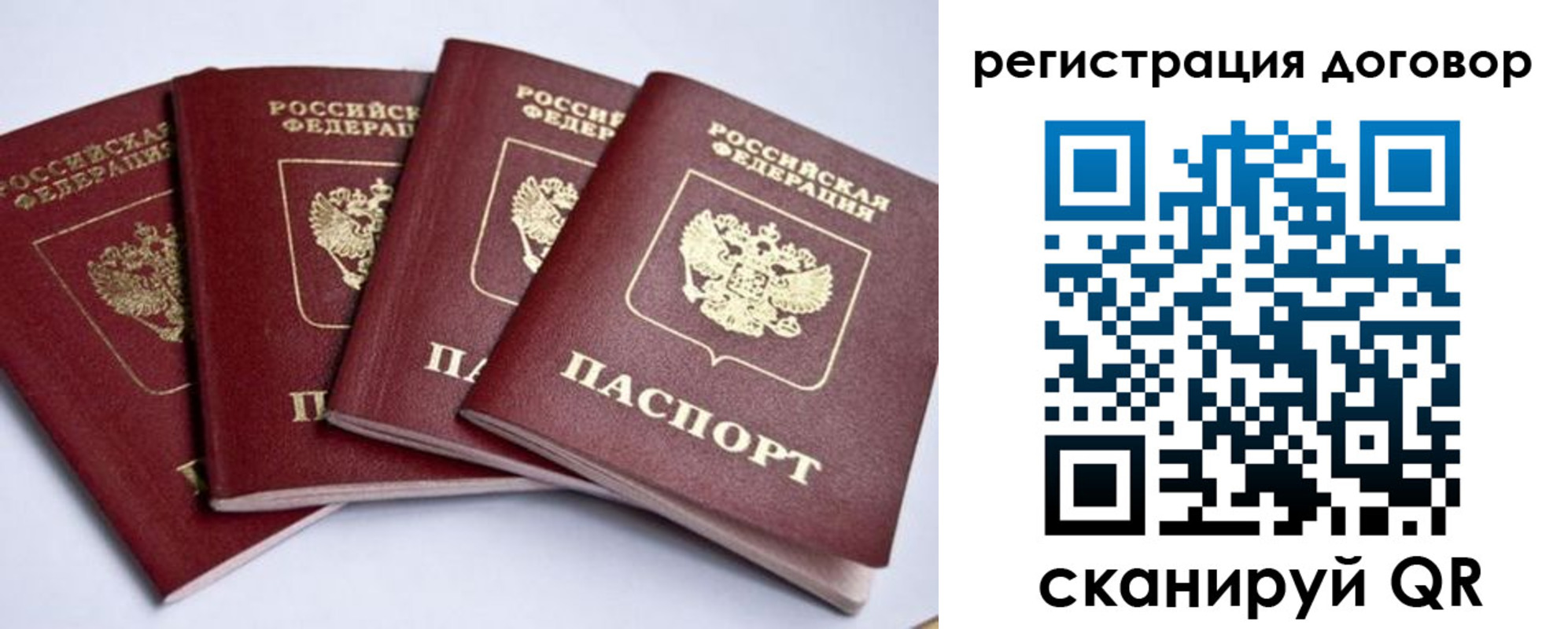 прописка поиск в Дубне
